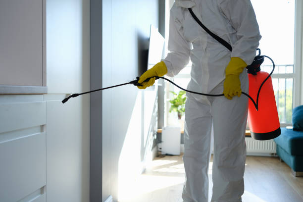 Best Mold Remediation for Specific Building Types in Sun Valley, NV